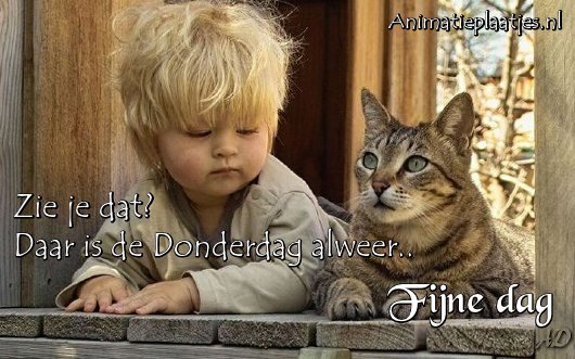 fijne donderdag jongen met kat