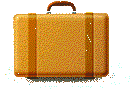 vakantie koffer met inhoud