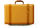 vakantie koffer met inhoud