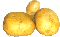 gele aardappelen