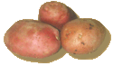 rode aardappelen