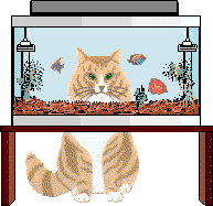 aquarium