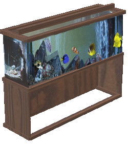 aquarium