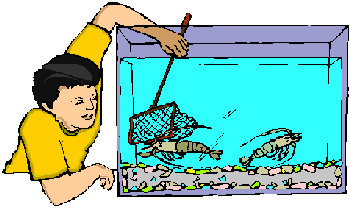 aquarium