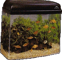 aquarium