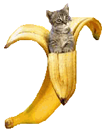 poes in banaan