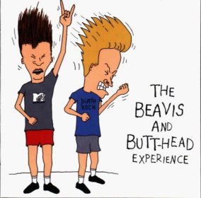 The Beavis and Butt-head experience