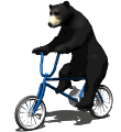 beer op fiets