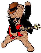 beer met gitaar