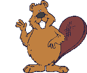 bever zwaait