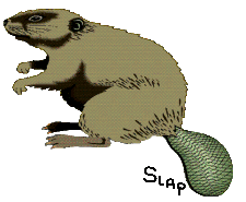 bever beweegt staart
