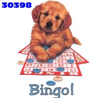 bingo kaart met hond