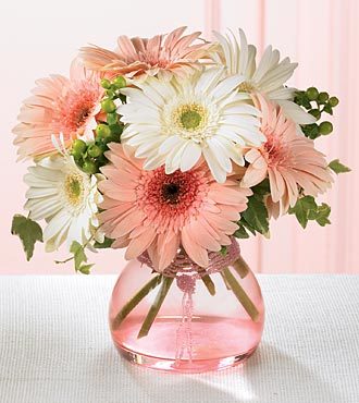 Gerbera's bloemen in vaas