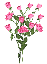 bloemen