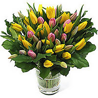 bos tulpen in vaas