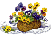 mand met viooltjes bloemen