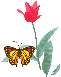 bloemen met vlinder
