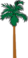 palm bomen