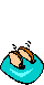 turquoise broodrooster