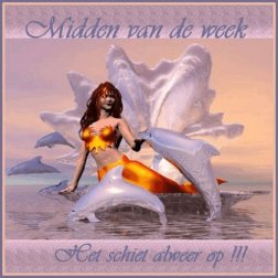 woensdag midden van de week