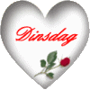 dinsdag