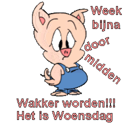 woensdag