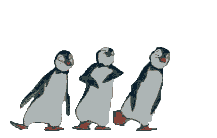 pinguins dansen