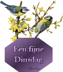 een fijne dinsdag