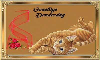 gezellige donderdag