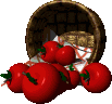 eten tomaten