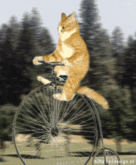 humor, poes op antieke fiets