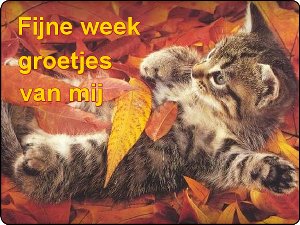 fijne week groetjes van mij