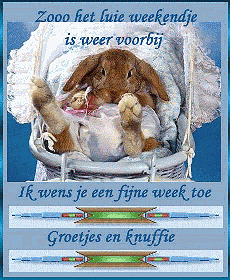 fijne week konijn