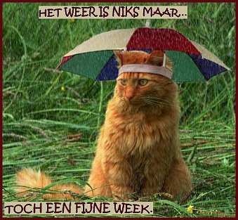 fijne week, ondanks slecht weer