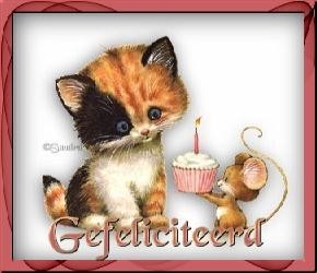 gefeliciteerd