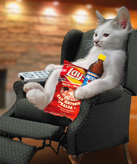 Kat met chips en cola tv kijken