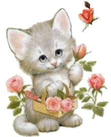 Katten