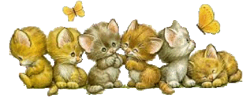 Katten