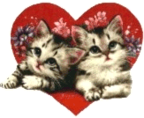 Twee katten in hart