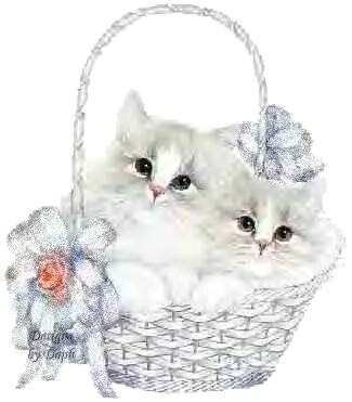 twee witte katten in bloemenmand