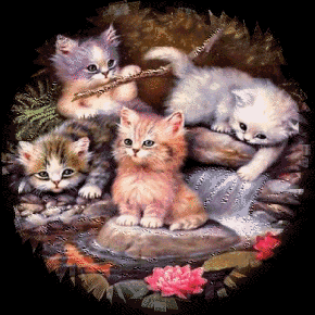 vier kittens