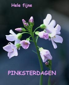 hele fijne Pinksterdagen