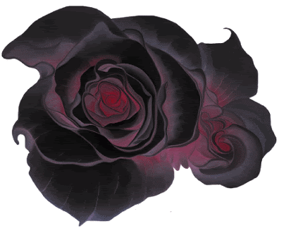 zwarte roos