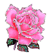 rose roos met glitter