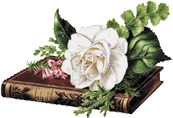 witte roos op boek