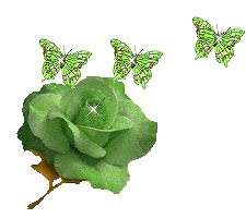 groen roos met vlinders