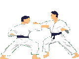 judo sport