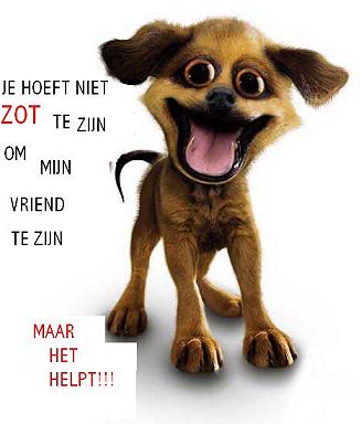 grappig vriendschap plaatje hond