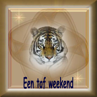 een tof weekend