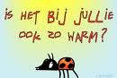 Grappig zomer plaatje